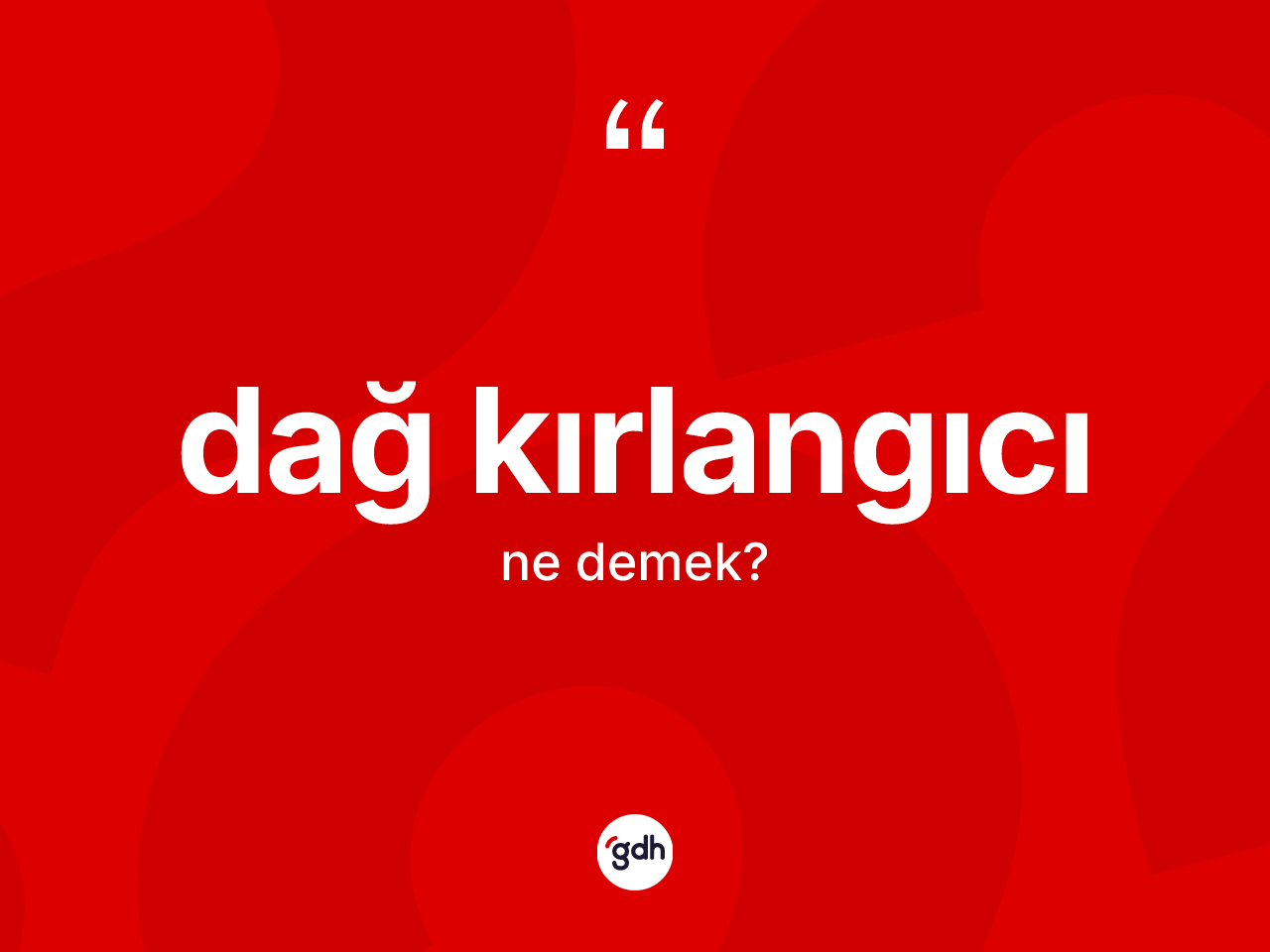 Dağ kırlangıcı kelimesinin anlamı nedir? Dağ kırlangıcının kısaca tanımı nedir?