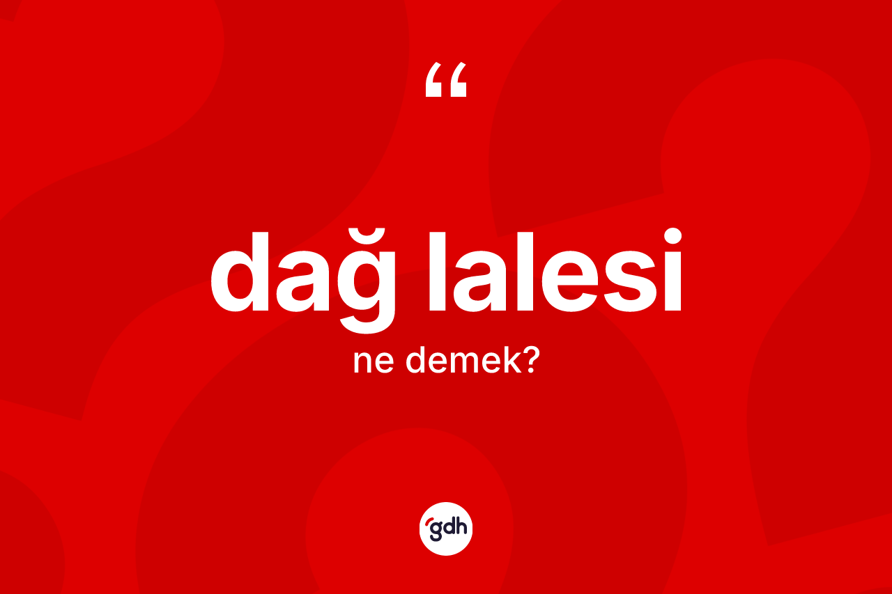 Dağ lalesi kelimesinin anlamı nedir? Dağ lalesinin TDK'ya göre anlamı nedir?