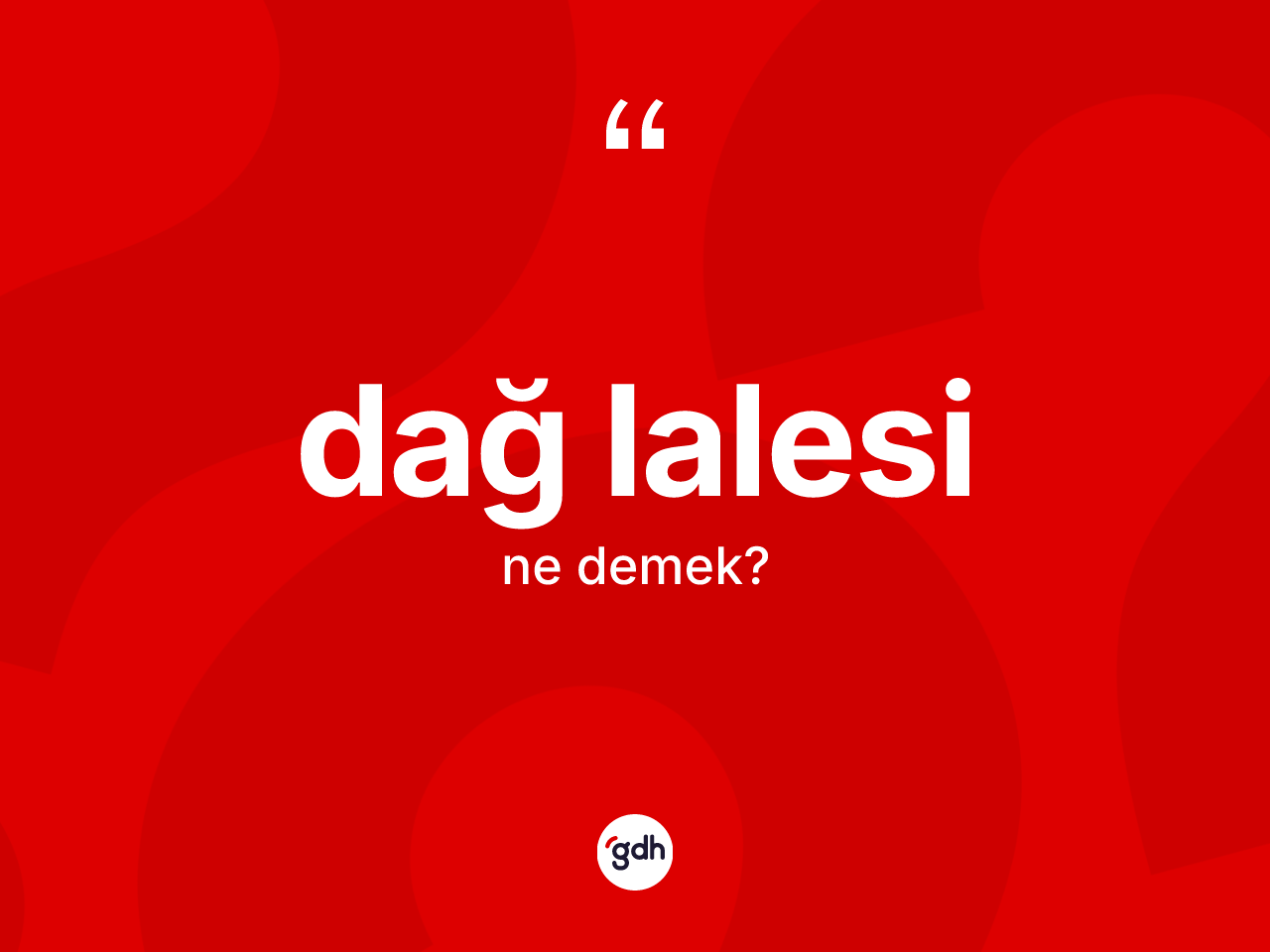 Dağ lalesi kelimesinin anlamı nedir? Dağ lalesinin TDK'ya göre anlamı nedir?