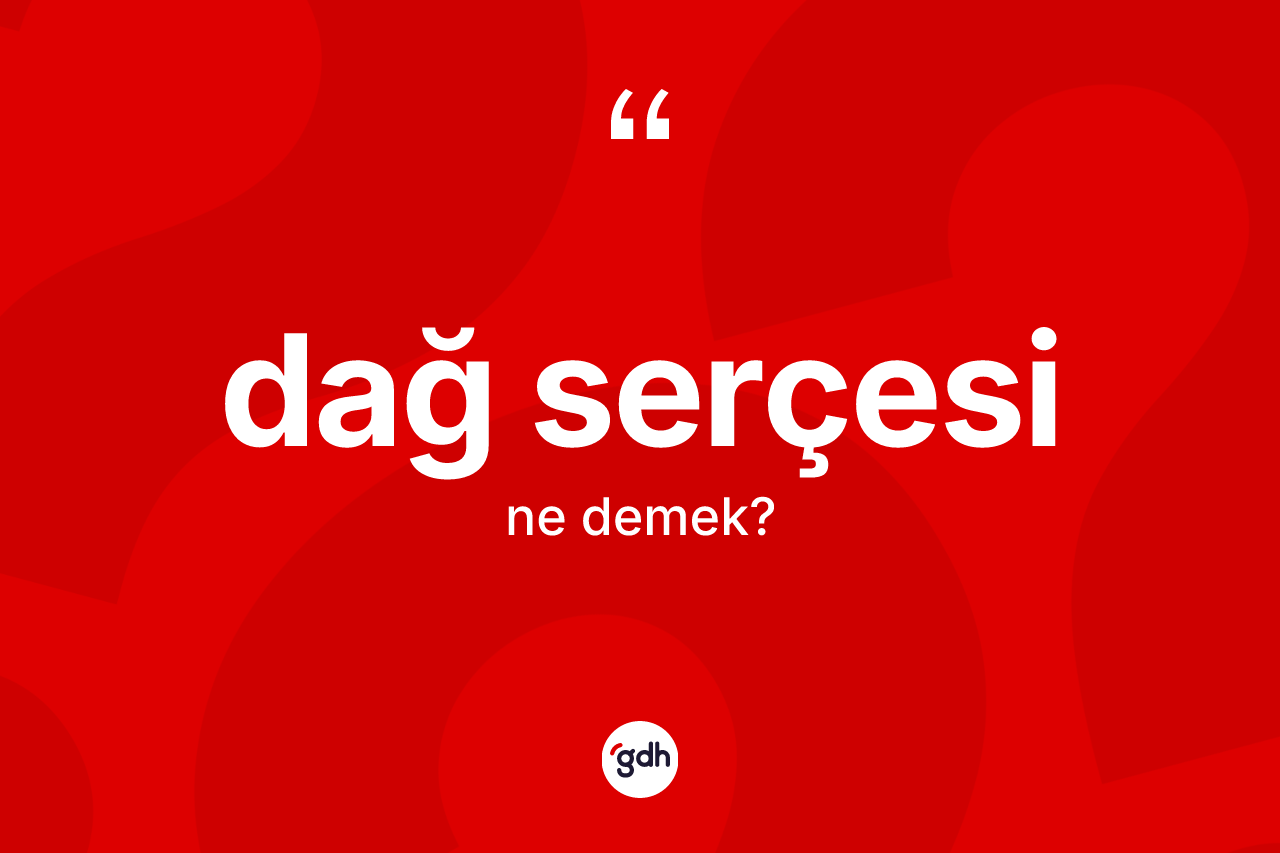Dağ serçesi kelimesinin sözlükteki tanımı nedir? Dağ serçesinin halk arasındaki kullanımı nasıldır?