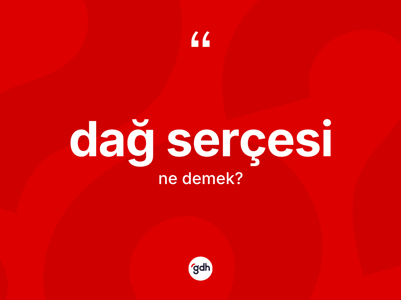 Dağ serçesi kelimesinin sözlükteki tanımı nedir? Dağ serçesinin halk arasındaki kullanımı nasıldır?