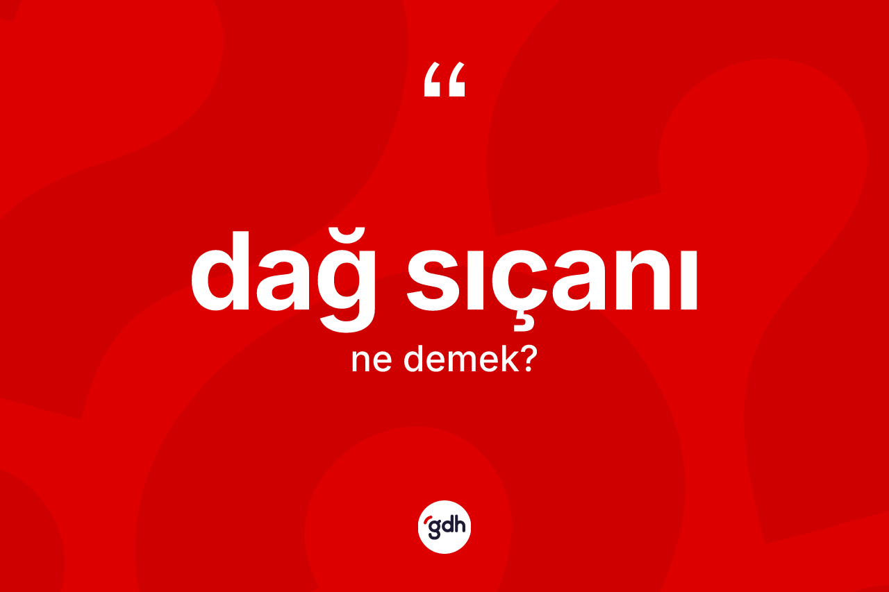 Dağ sıçanı kelimesi ne demek? Dağ sıçanı kelimesinin kaç farklı anlamı var?