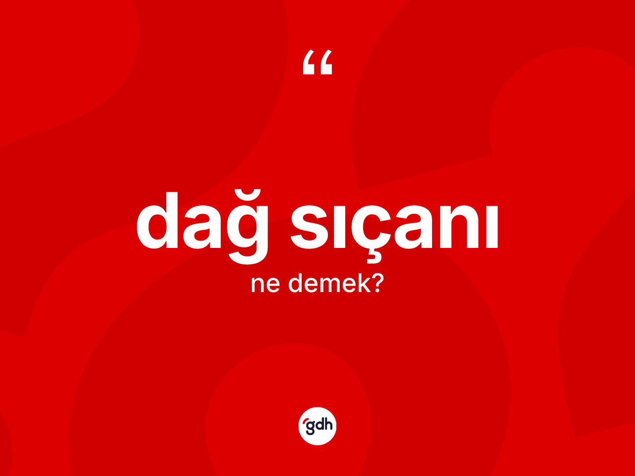 Dağ sıçanı kelimesi ne demek? Dağ sıçanı kelimesinin kaç farklı anlamı var?