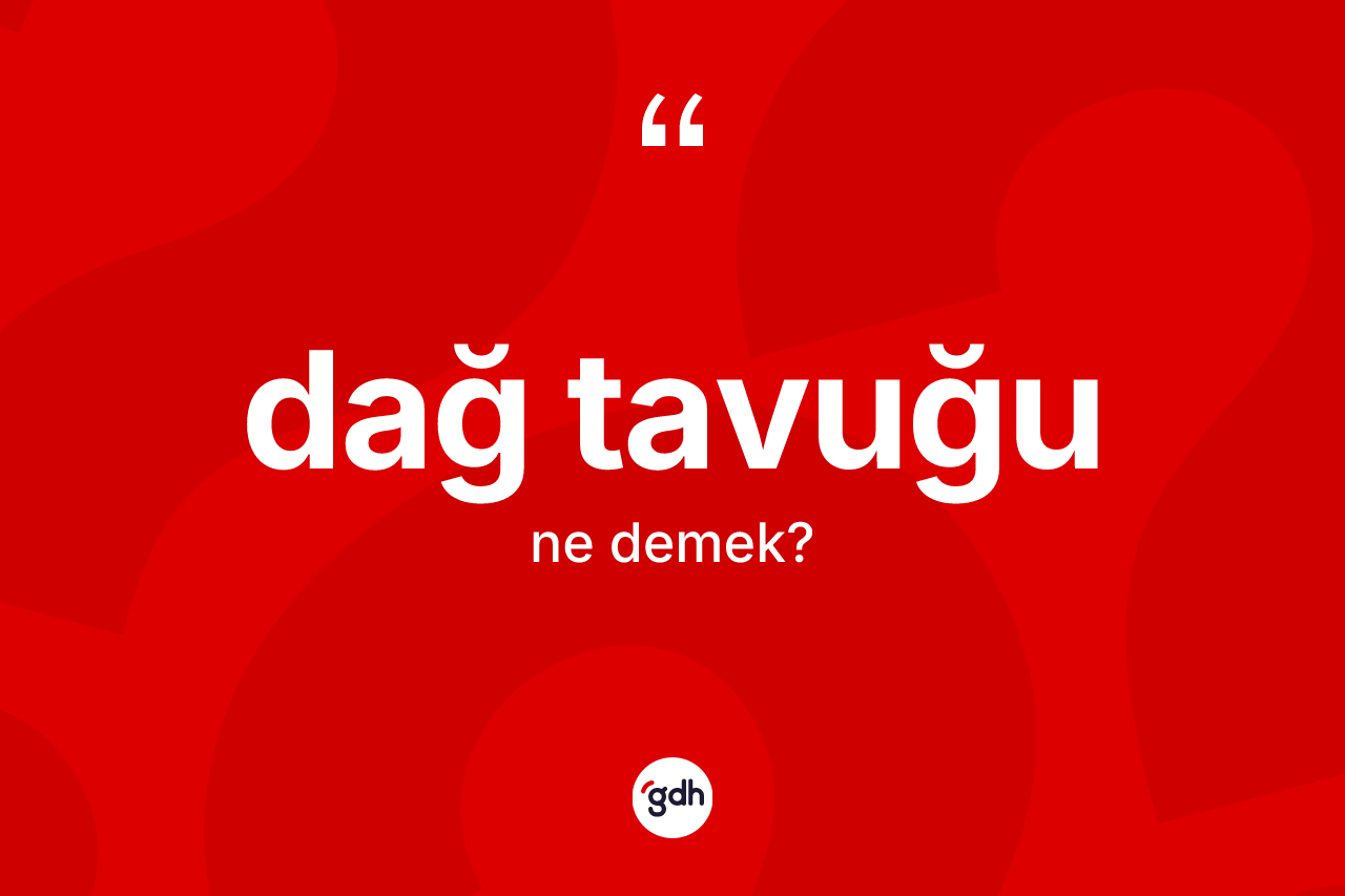Dağ tavuğu ne anlama gelir? Dağ tavuğunun sözlükteki anlamı nedir?