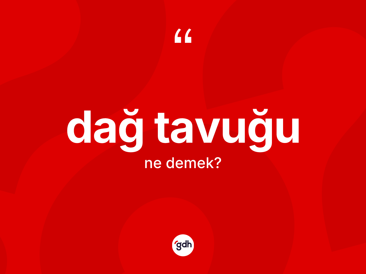Dağ tavuğu ne anlama gelir? Dağ tavuğunun sözlükteki anlamı nedir?