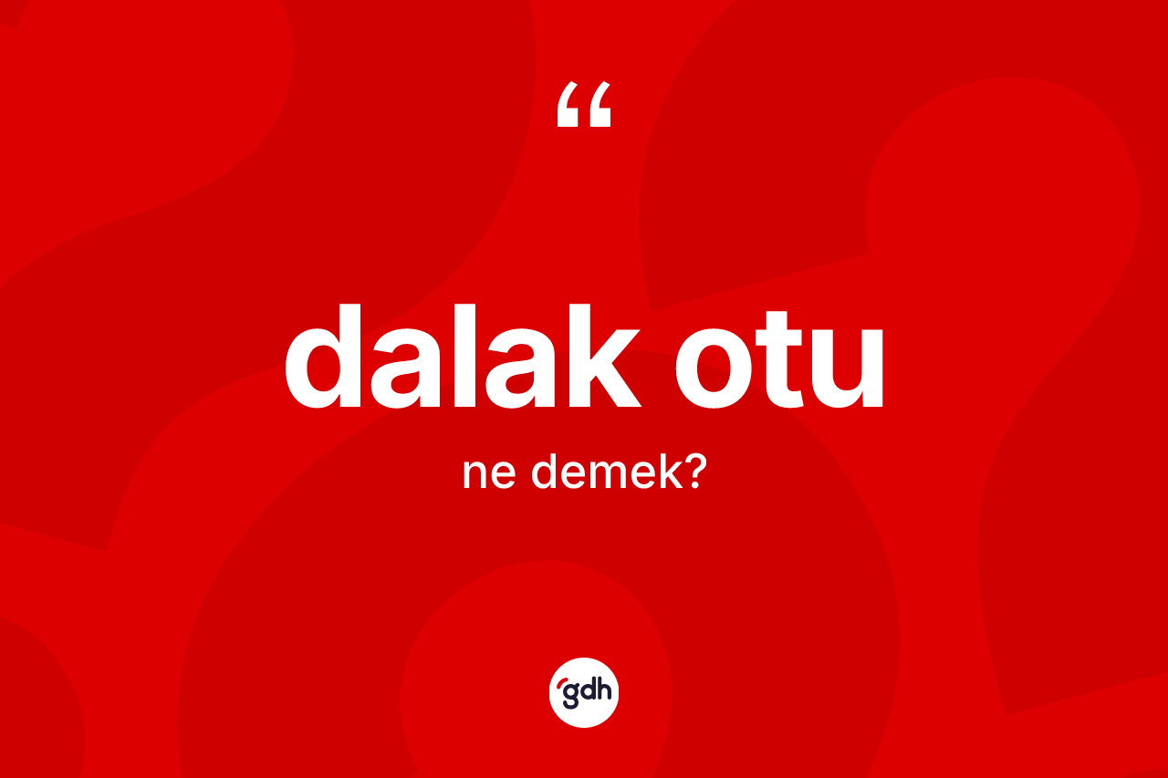 Dalak otu kelimesinin anlamı nedir?