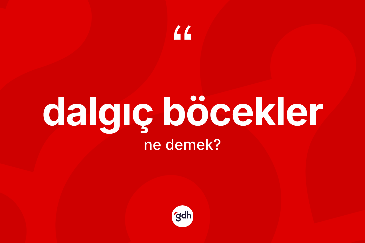 Dalgıç böcekler kelimesinin anlamı nedir?