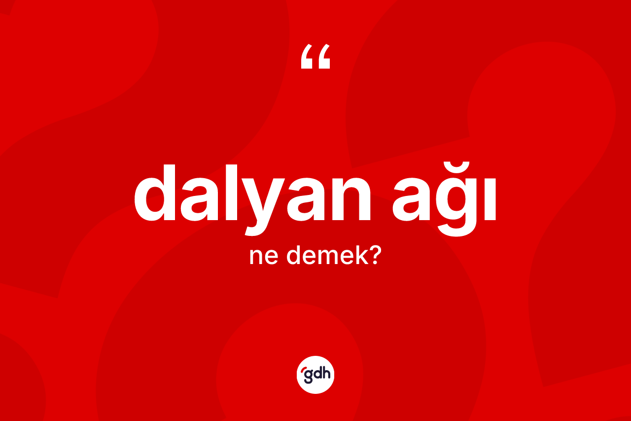 Dalyan ağı nedir?