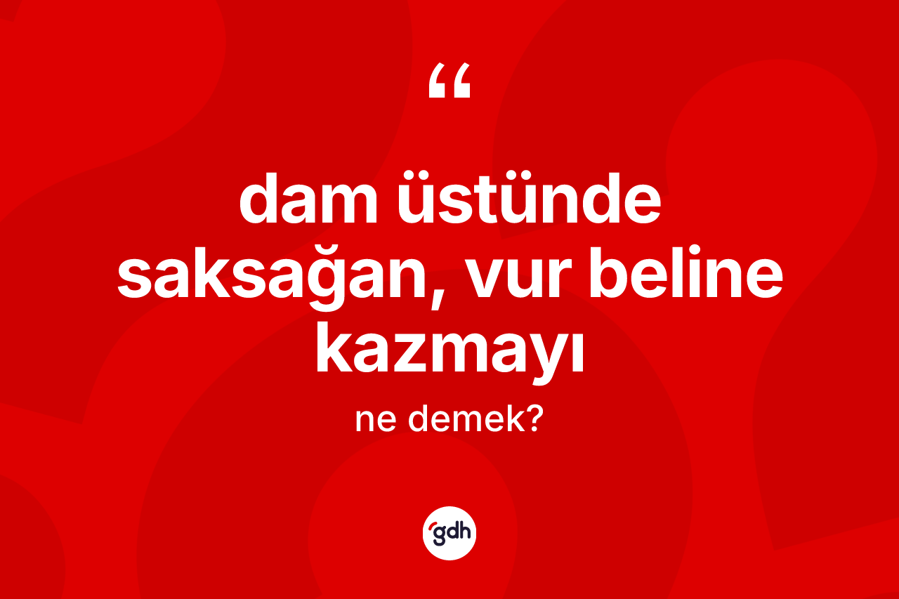 Dam üstünde saksağan, vur beline kazmayı ifadesinin kısaca anlamı nedir?