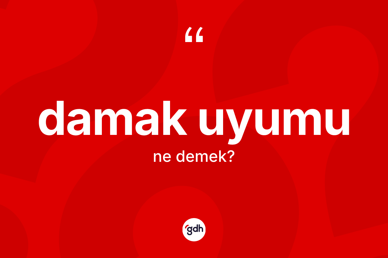 Damak uyumu kelimesinin sözlükteki tanımı nedir?