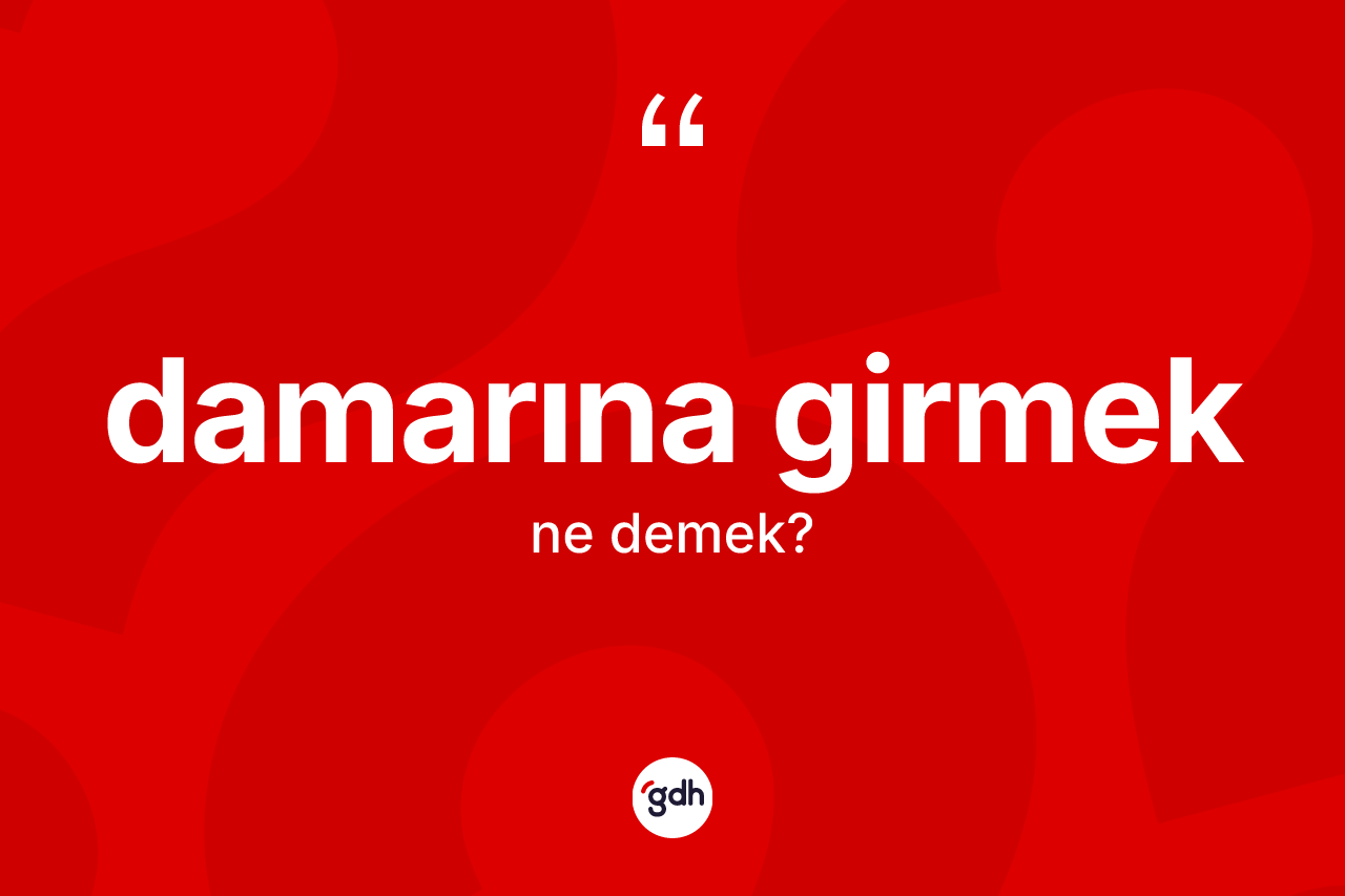 Damarına girmek ifadesinin kısaca anlamı nedir?
