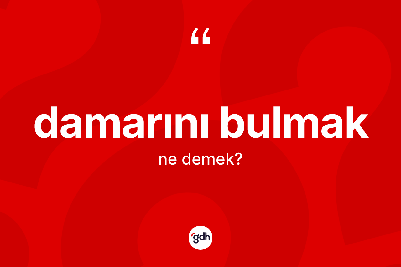 Damarını bulmak ifadesinin kısaca anlamı nedir?