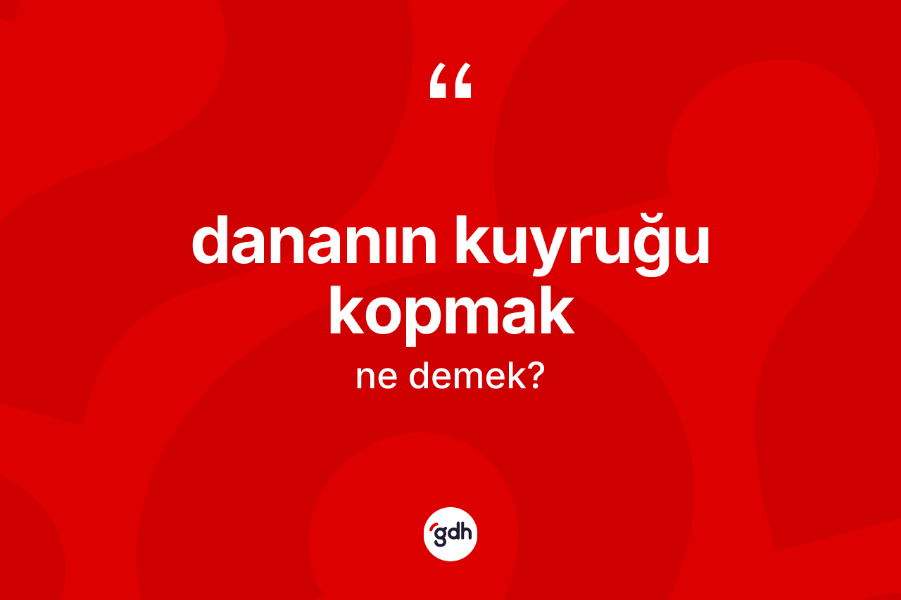 Dananın kuyruğu kopmak ifadesinin sözlükteki anlamı nedir? Dananın kuyruğu kopmak ifadesi nerede kullanılır?