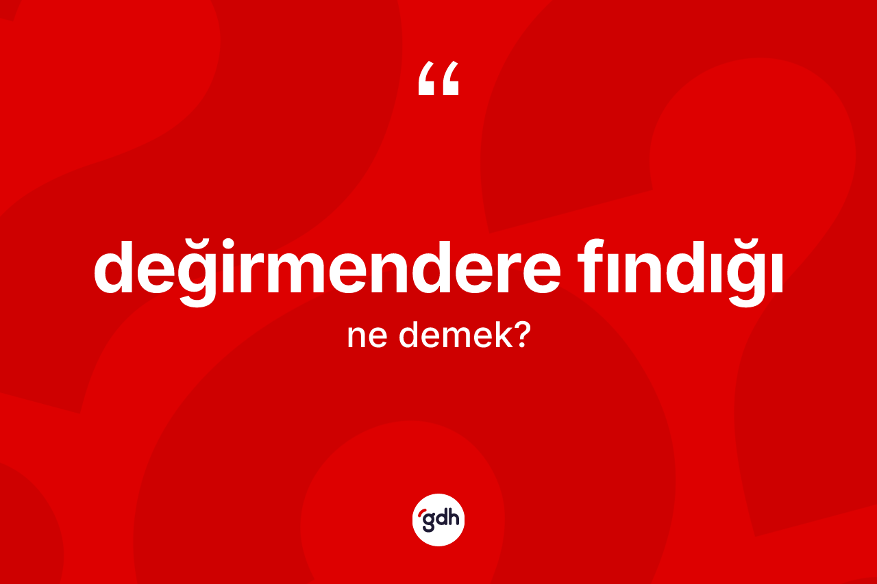 Değirmendere fındığı ne demek? Değirmendere fındığının TDK'ya göre anlamı nedir?