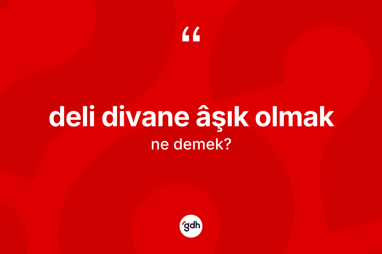Deli divane âşık olmak ne demektir? Deli divane âşık olmak ifadesinin TDK anlamı nedir?