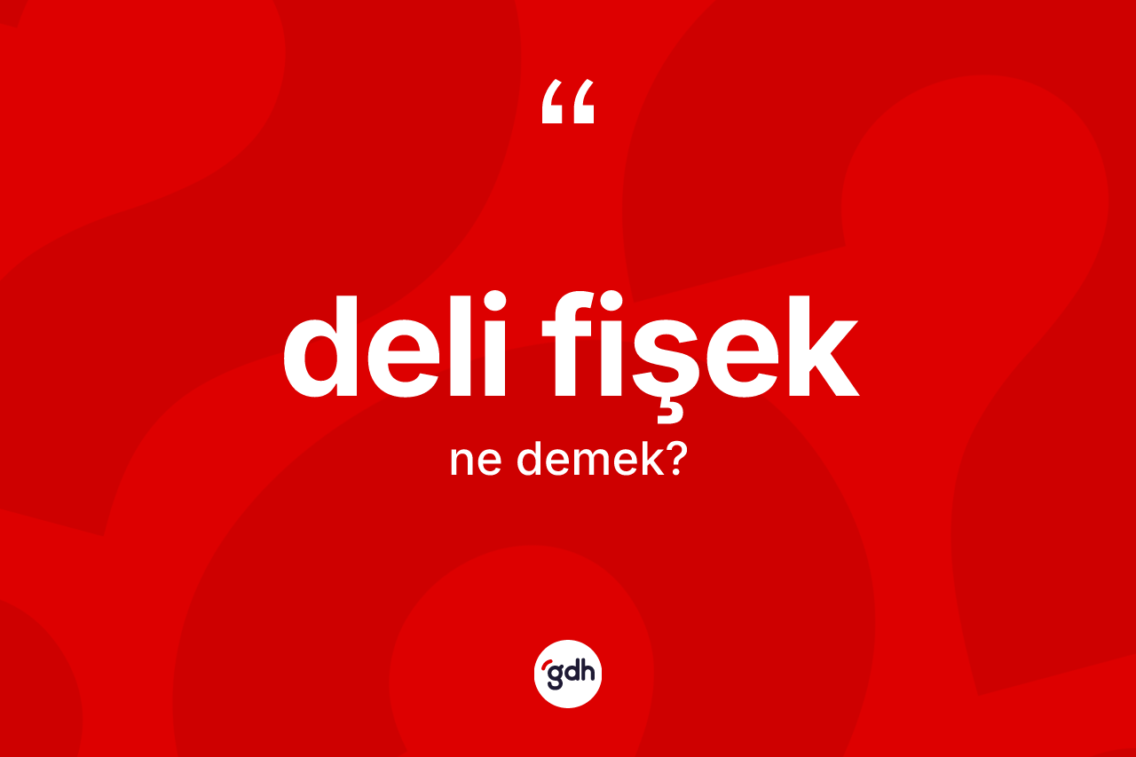Deli fişek kelimesinin sözlükteki tanımı nedir? Deli fişeğin sözlükteki anlamı nedir?