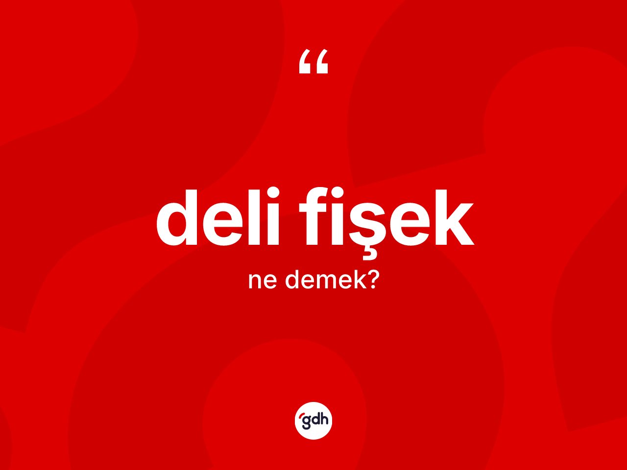 Deli fişek kelimesinin sözlükteki tanımı nedir? Deli fişeğin sözlükteki anlamı nedir?