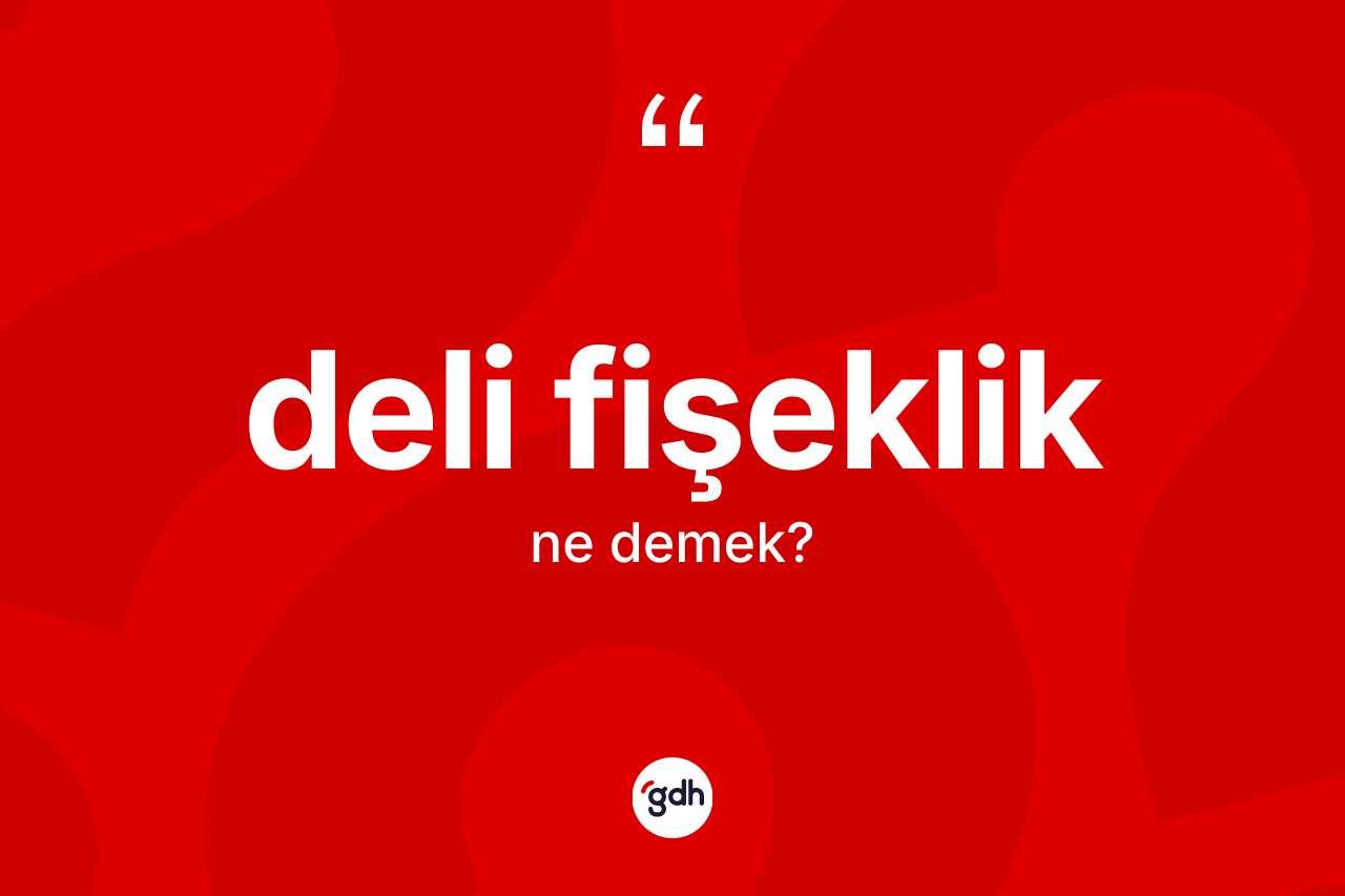 Deli fişeklik kelimesi ne demek? Deli fişekliğin TDK'ya göre anlamı nedir?