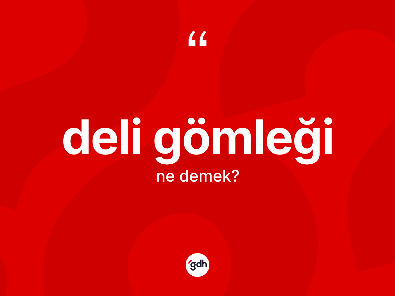 Deli gömleği nedir? Deli gömleğinin TDK'ya göre anlamı nedir?
