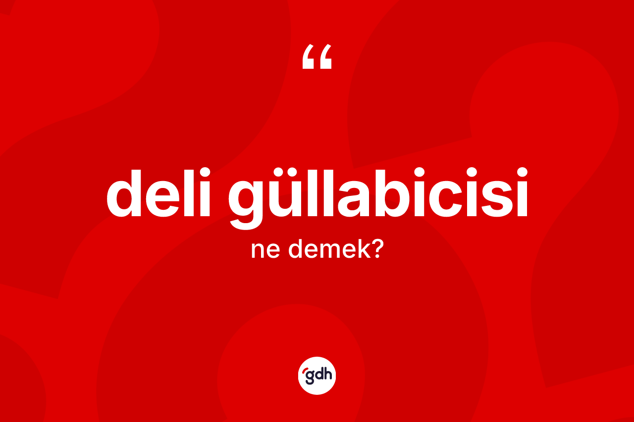 Deli güllabicisi kelimesinin anlamı nedir? Deli güllabicisinin kısaca tanımı nedir?