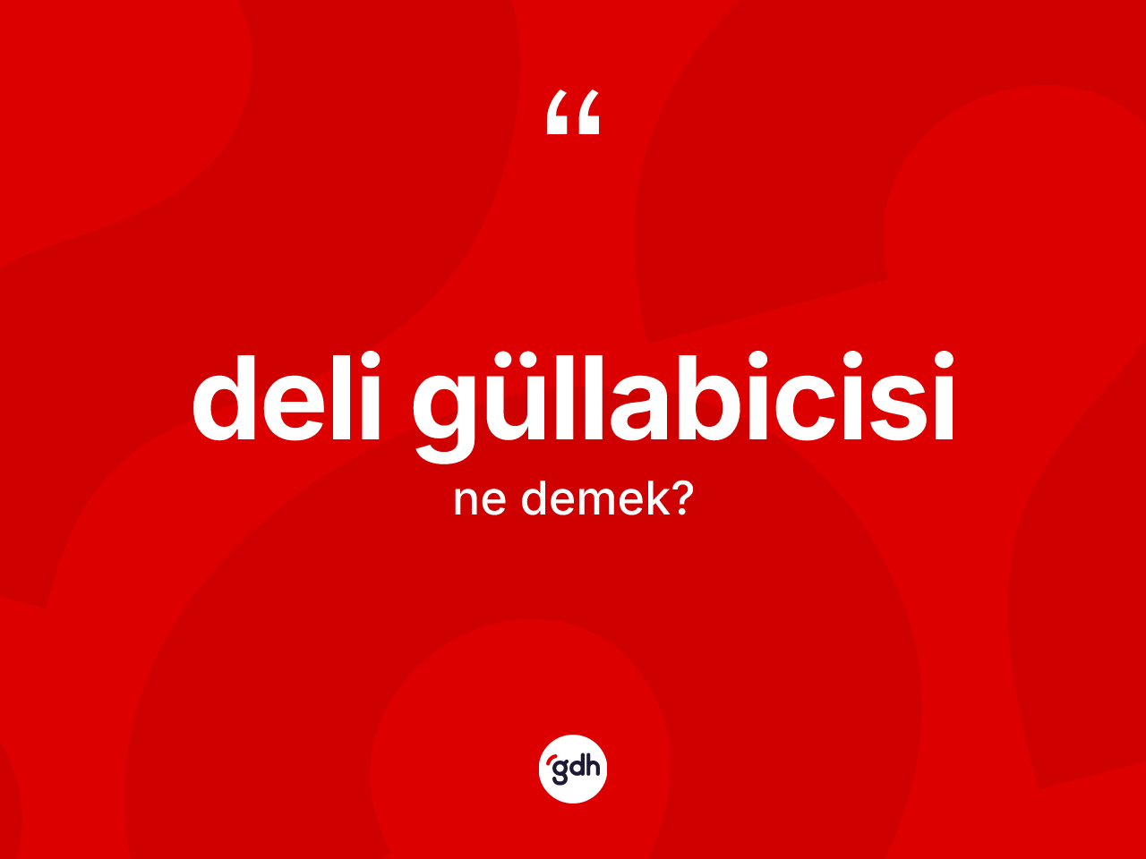 Deli güllabicisi kelimesinin anlamı nedir? Deli güllabicisinin kısaca tanımı nedir?