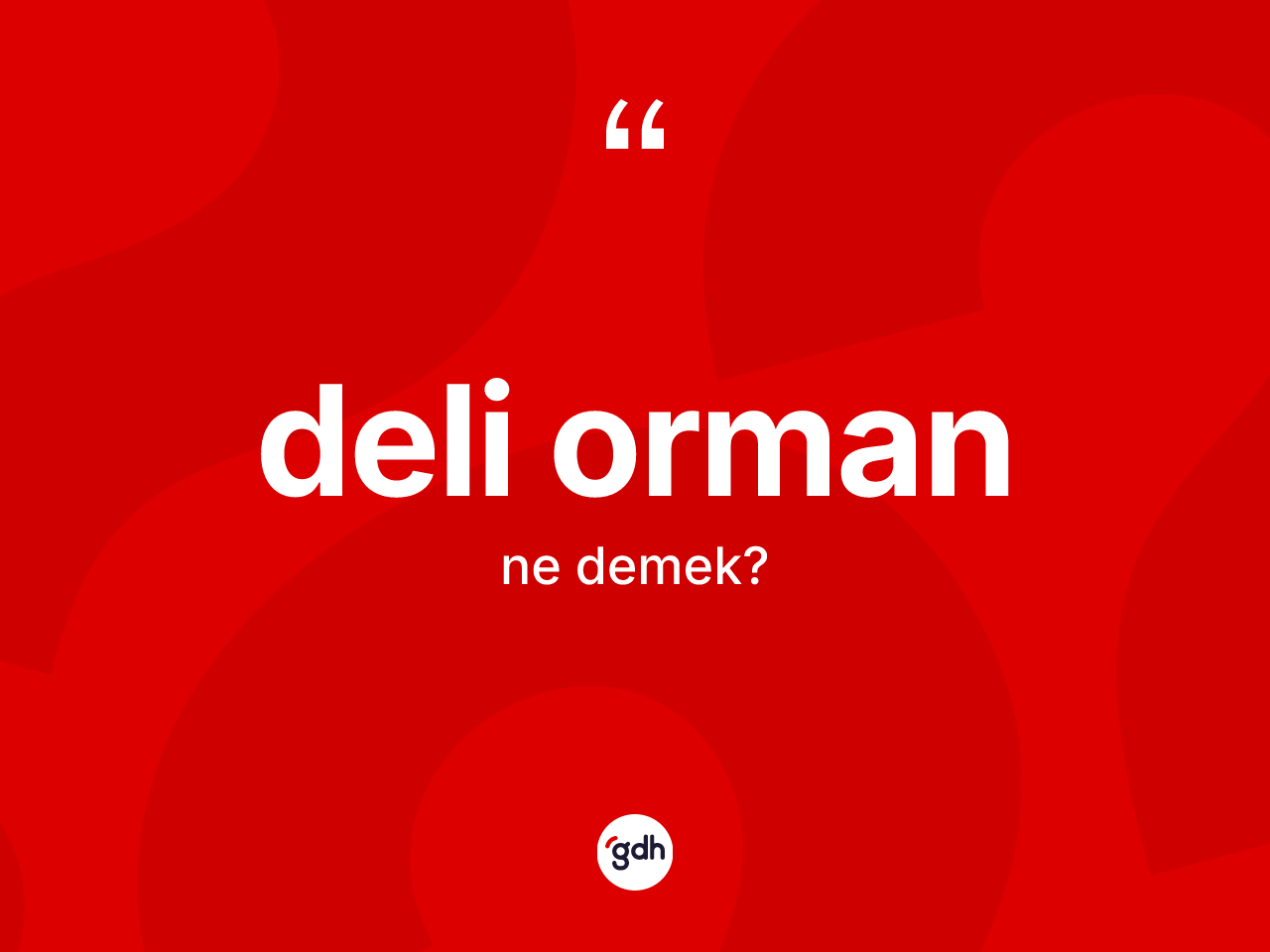 Deli orman kelimesi ne anlama gelir? Deli orman kelimesinin kaç farklı anlamı var?