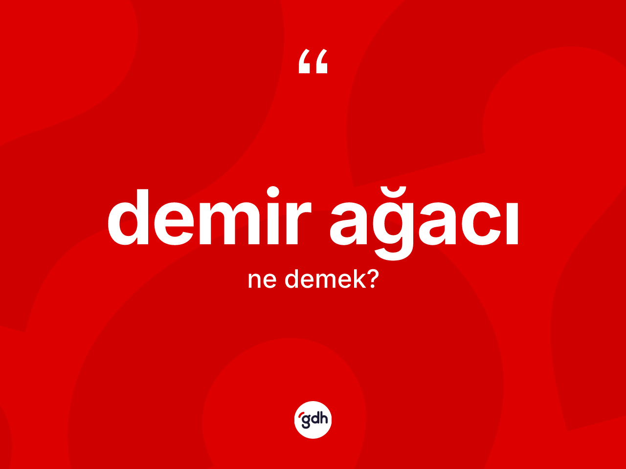 Demir ağacı kelimesi ne anlama gelir? Demir ağacının TDK'ya göre anlamı nedir?