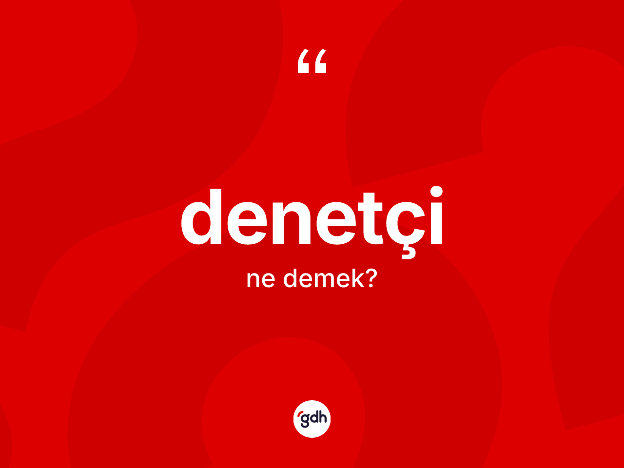 Denetçi kelimesi ne demek? Denetçinin sözlükteki anlamı nedir?