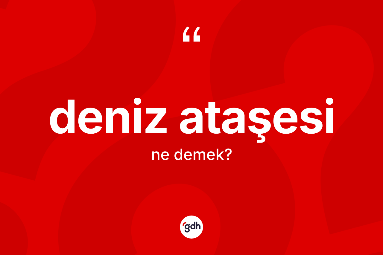 Deniz ataşesi ne anlama gelir? Deniz ataşesinin TDK'ya göre anlamı nedir?