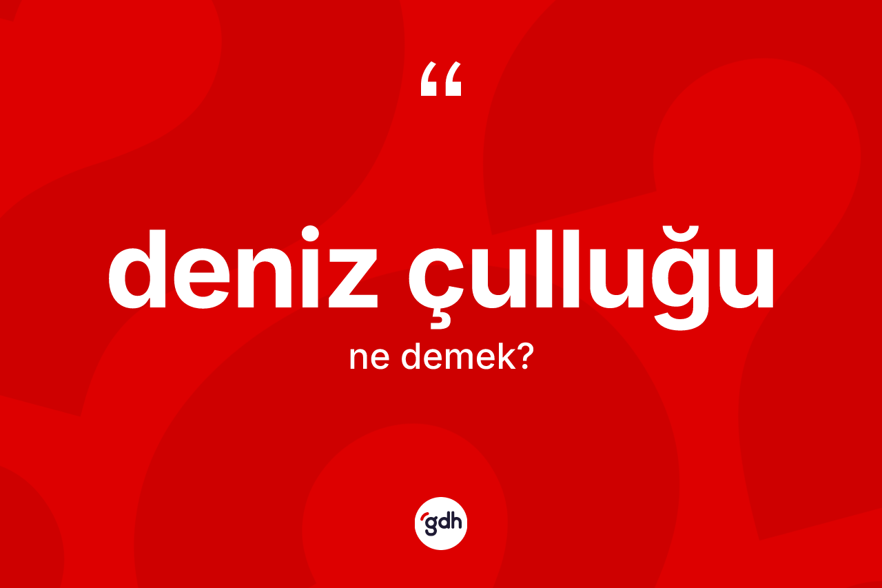 Deniz çulluğu kelimesi nedir? Deniz çulluğunun TDK'ya göre anlamı nedir?