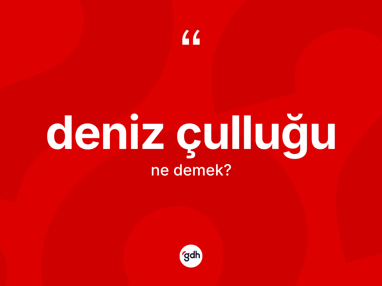 Deniz çulluğu kelimesi nedir? Deniz çulluğunun TDK'ya göre anlamı nedir?