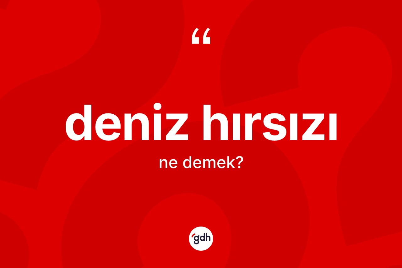Deniz hırsızı ne anlama gelir? Deniz hırsızı kelimesinin kaç farklı anlamı var?