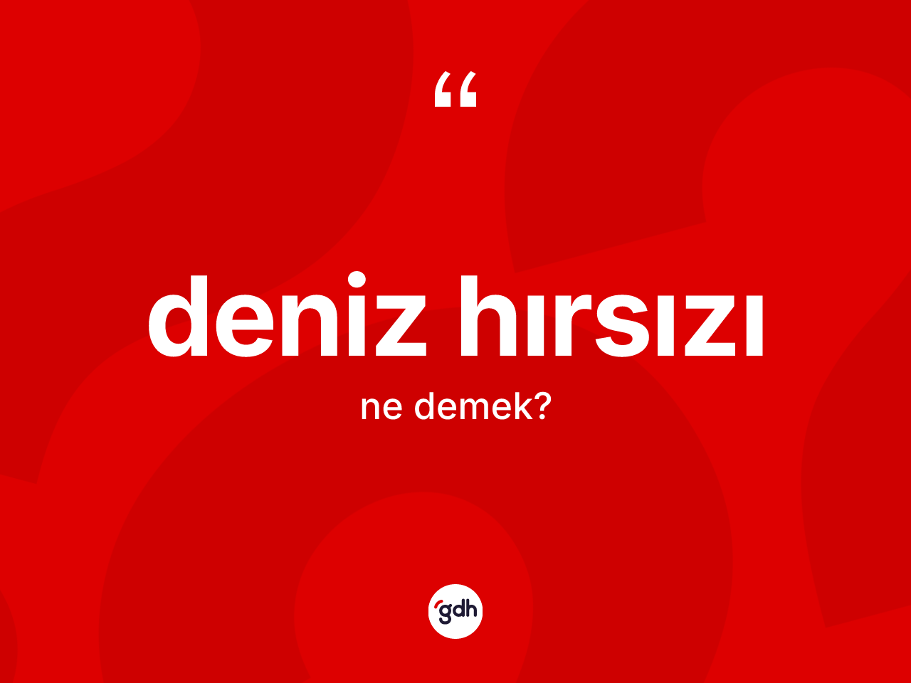 Deniz hırsızı ne anlama gelir? Deniz hırsızı kelimesinin kaç farklı anlamı var?
