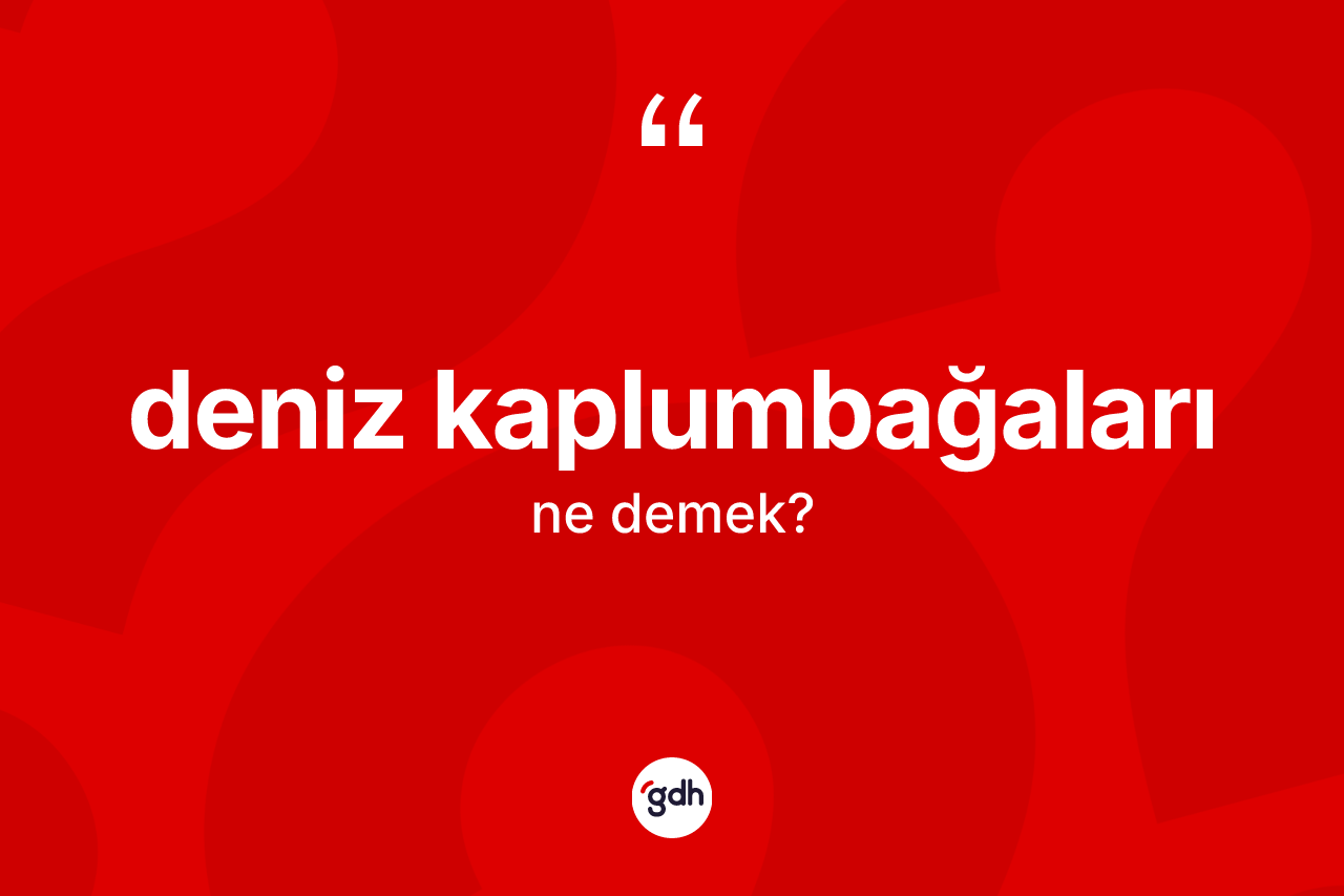 Deniz kaplumbağaları kelimesinin tanımı nedir? Deniz kaplumbağalarının kısaca tanımı nedir?