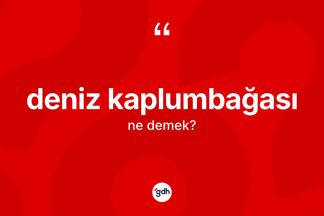 Deniz kaplumbağası ne demek? Deniz kaplumbağasının halk arasındaki kullanımı nasıldır?