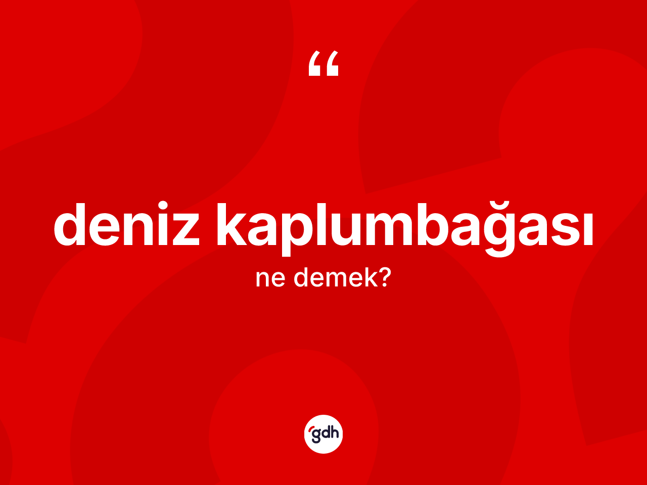 Deniz kaplumbağası ne demek? Deniz kaplumbağasının halk arasındaki kullanımı nasıldır?