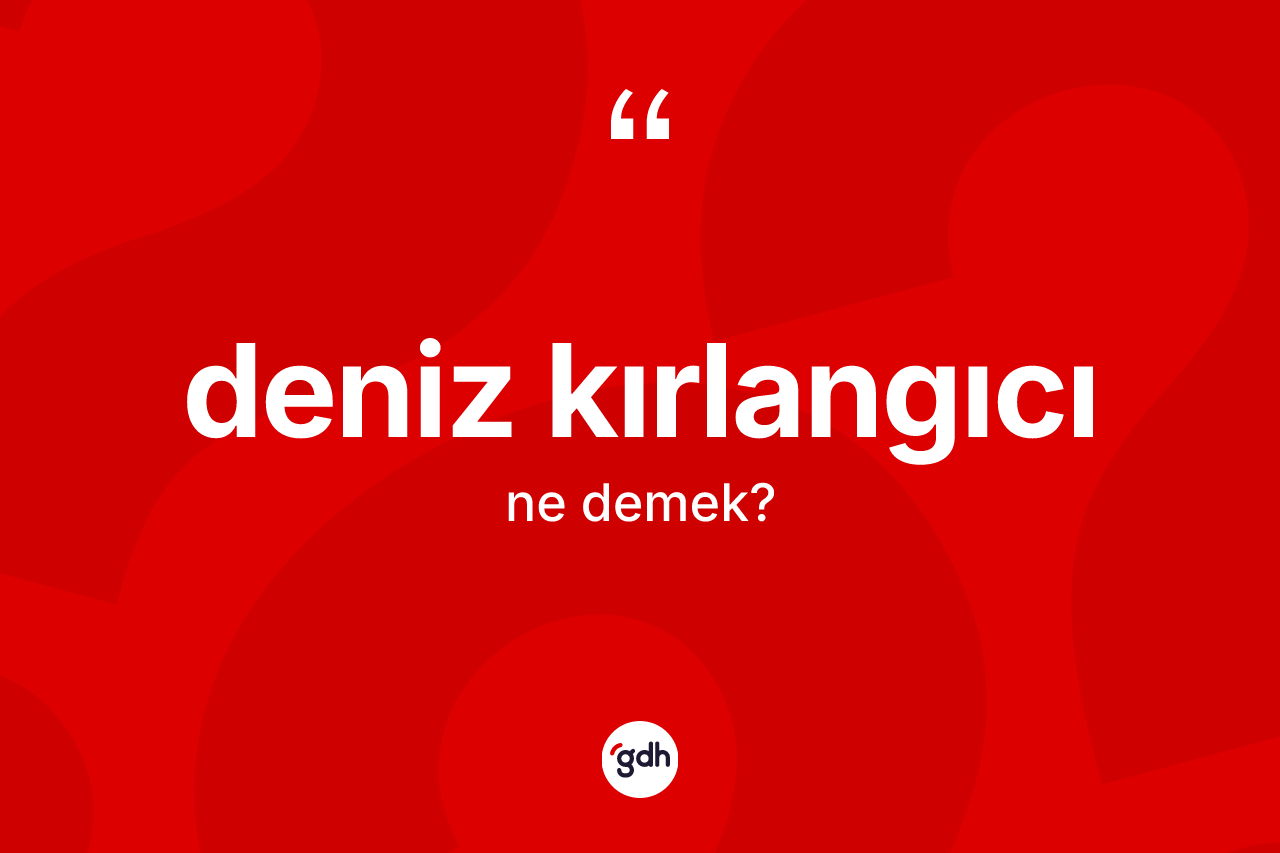 Deniz kırlangıcı kelimesinin tanımı nedir? Deniz kırlangıcı kelimesinin özellikleri nelerdir?