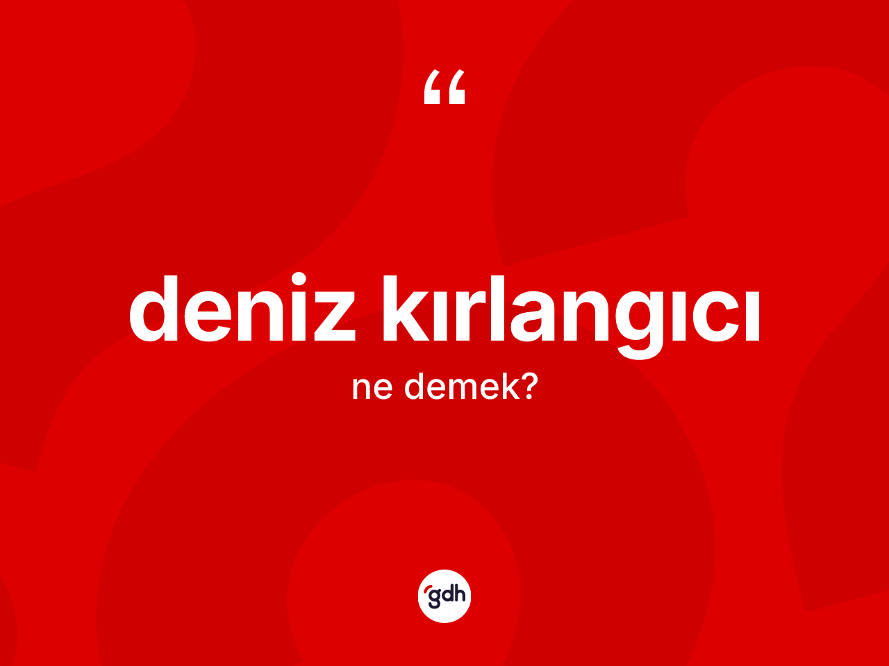 Deniz kırlangıcı kelimesinin tanımı nedir? Deniz kırlangıcı kelimesinin özellikleri nelerdir?