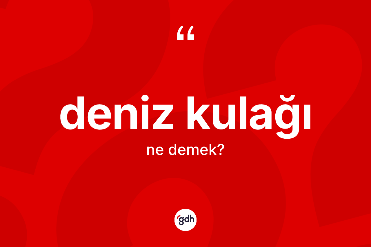 Deniz kulağı kelimesinin sözlükteki tanımı nedir? Deniz kulağı kelimesinin kaç farklı anlamı var?