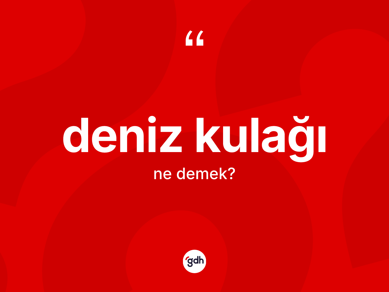 Deniz kulağı kelimesinin sözlükteki tanımı nedir? Deniz kulağı kelimesinin kaç farklı anlamı var?