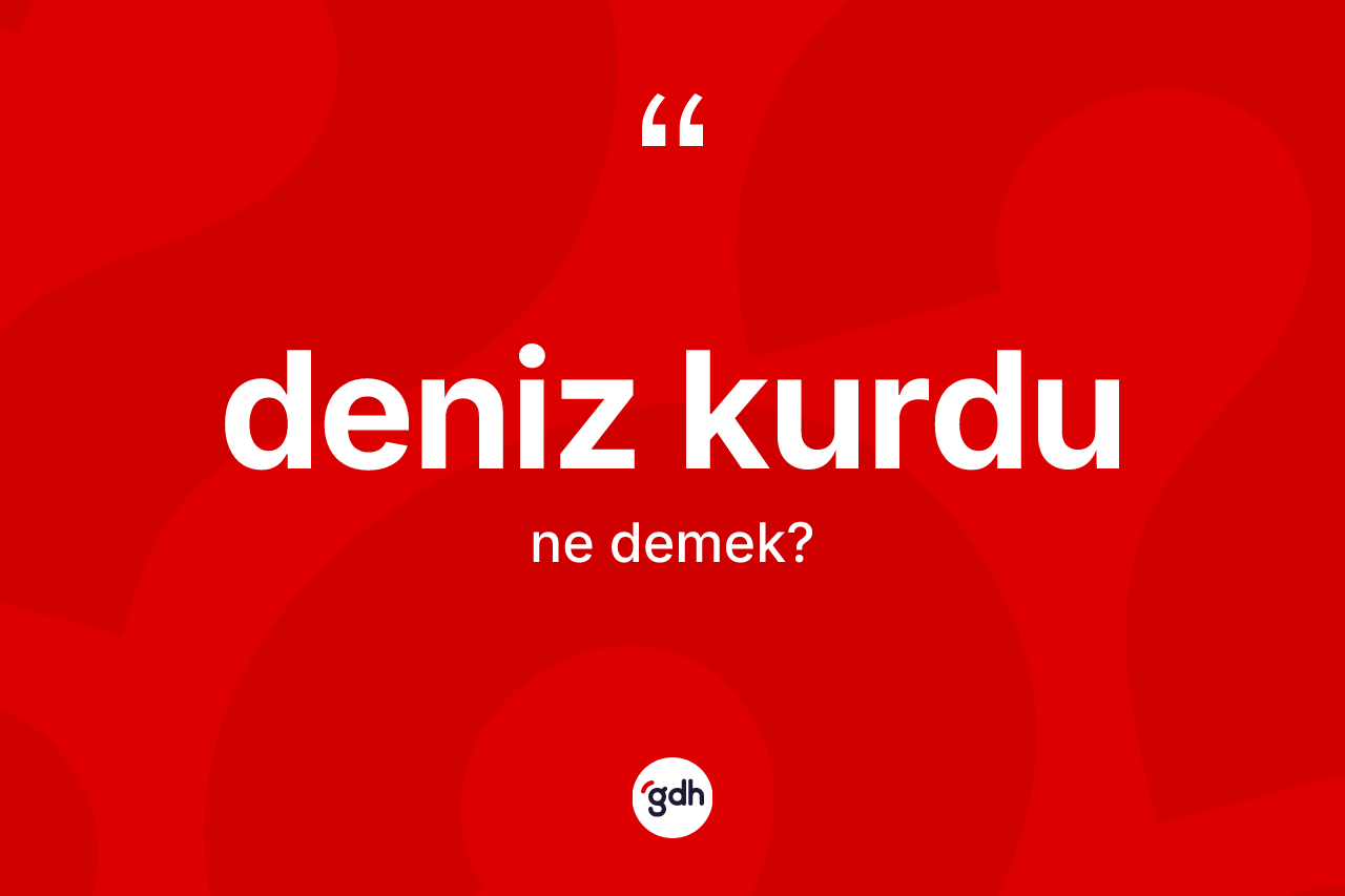 Deniz kurdu kelimesinin tanımı nedir? Deniz kurdu kelimesinin TDK'ya göre açıklaması nedir?