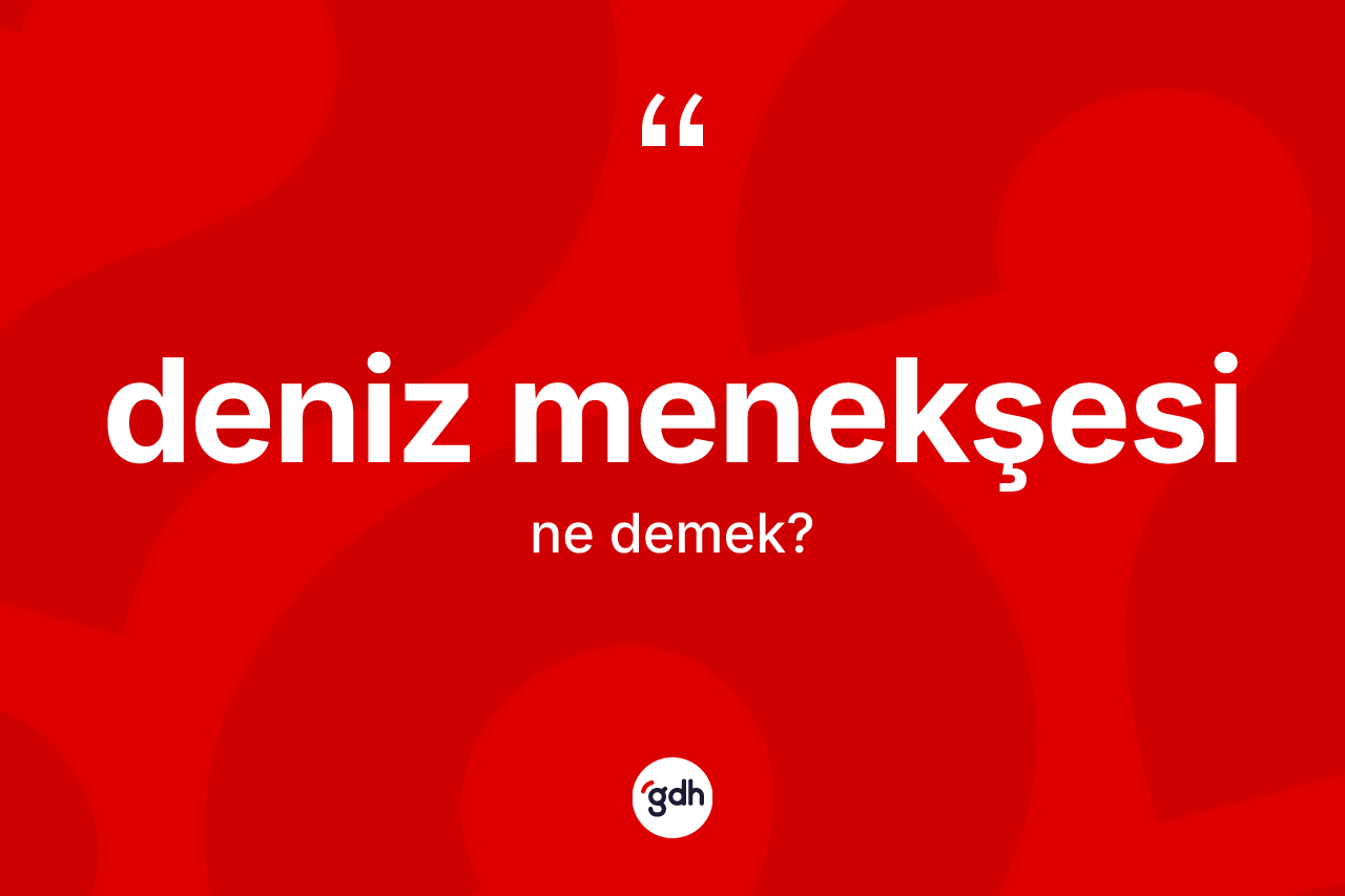 Deniz menekşesi kelimesinin sözlükteki tanımı nedir? Deniz menekşesinin TDK'ya göre anlamı nedir?