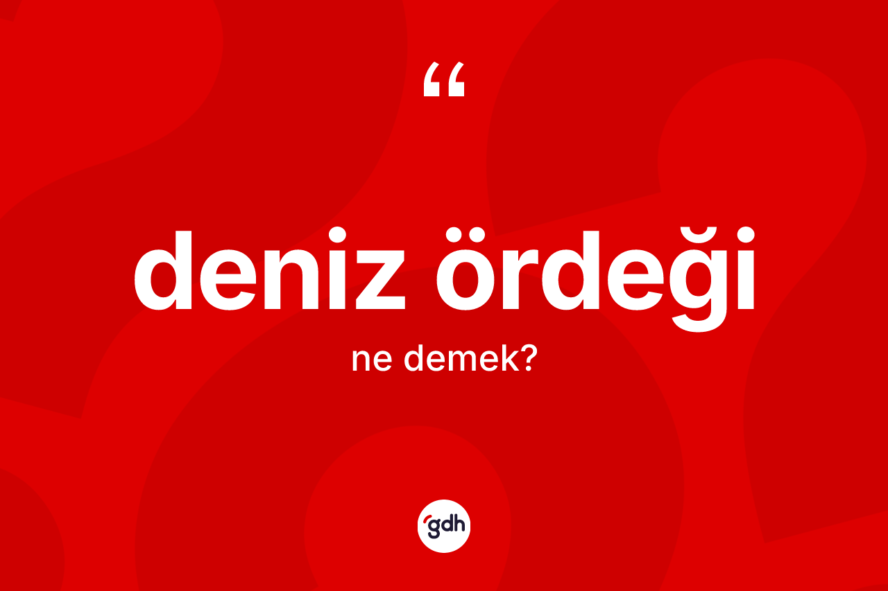 Deniz ördeği ne demek? Deniz ördeğinin kısaca tanımı nedir?