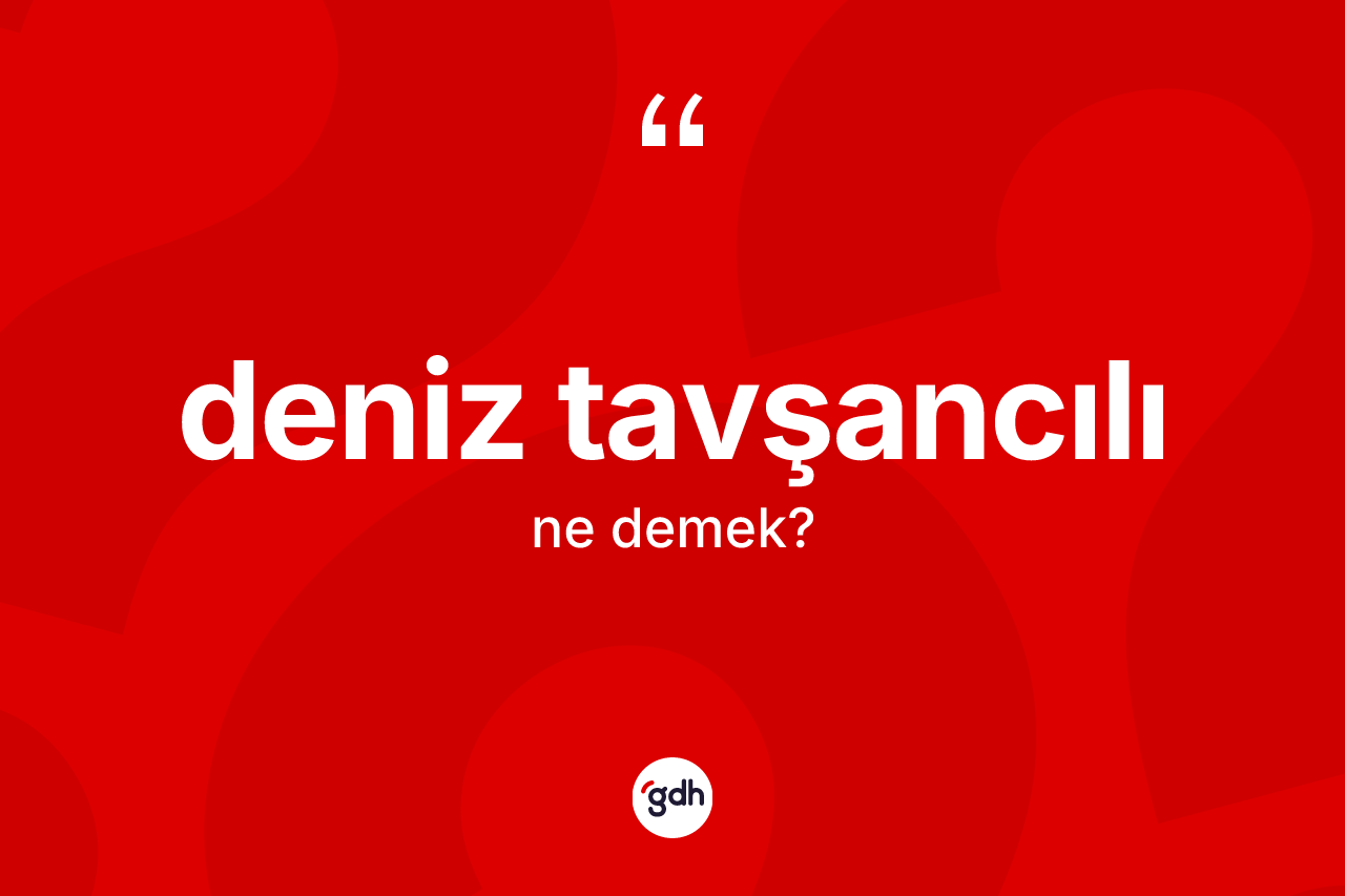 Deniz tavşancılı nedir? Deniz tavşancılının sözlükteki anlamı nedir?