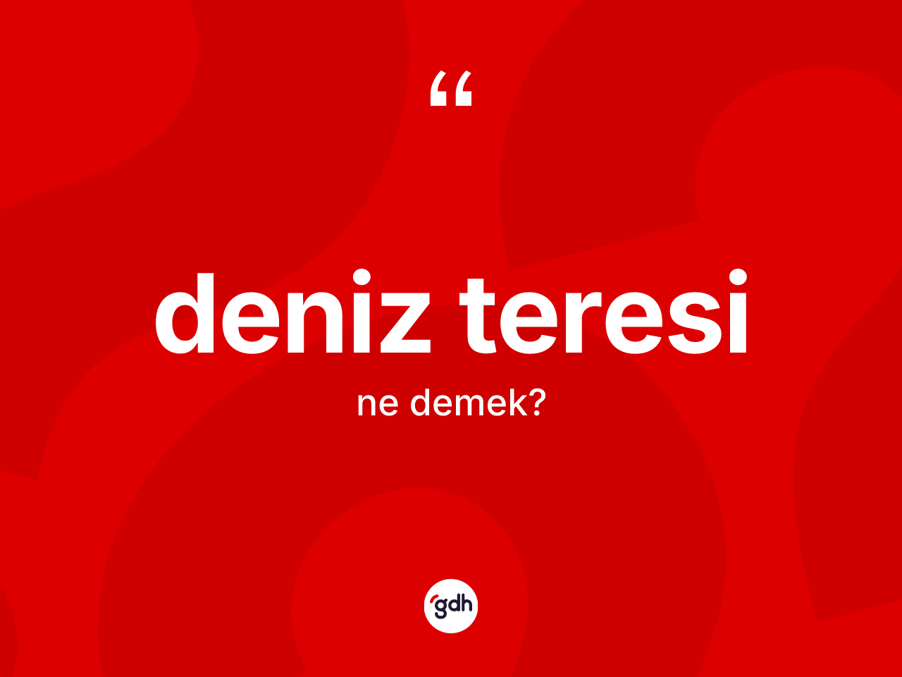 Deniz teresi kelimesi ne anlama gelir? Deniz teresi kelimesinin özellikleri nelerdir?
