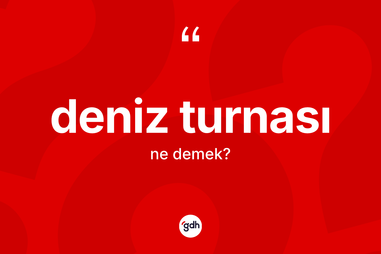 Deniz turnası ne anlama gelir? Deniz turnasının TDK'ya göre anlamı nedir?