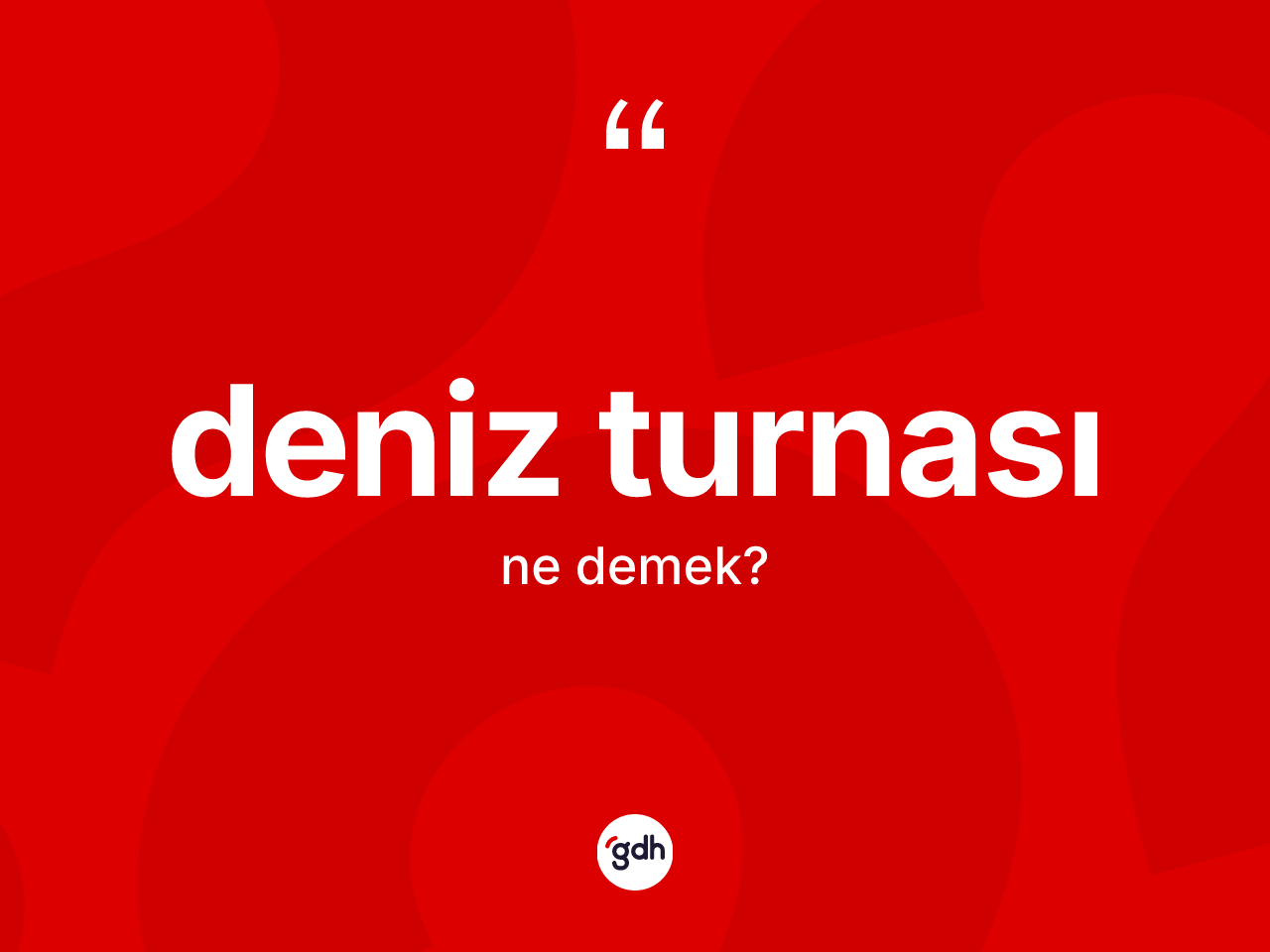 Deniz turnası ne anlama gelir? Deniz turnasının TDK'ya göre anlamı nedir?