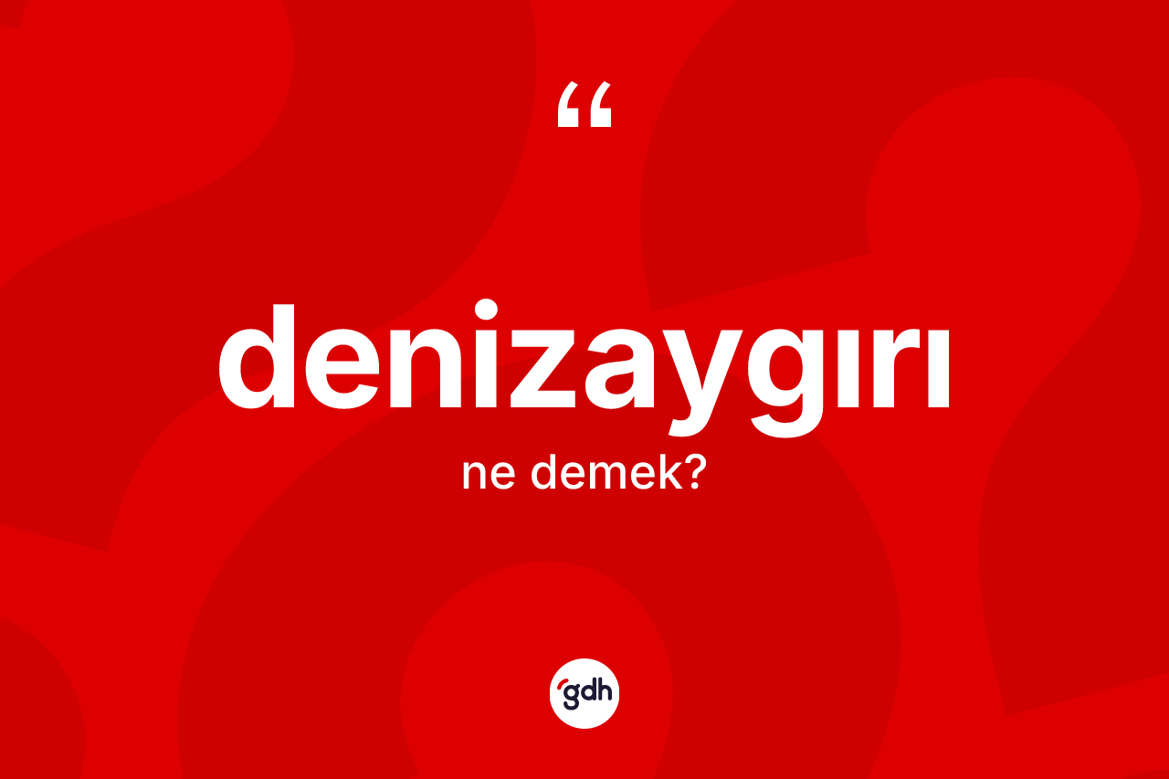 Denizaygırı kelimesi nedir? Denizaygırının halk arasındaki kullanımı nasıldır?