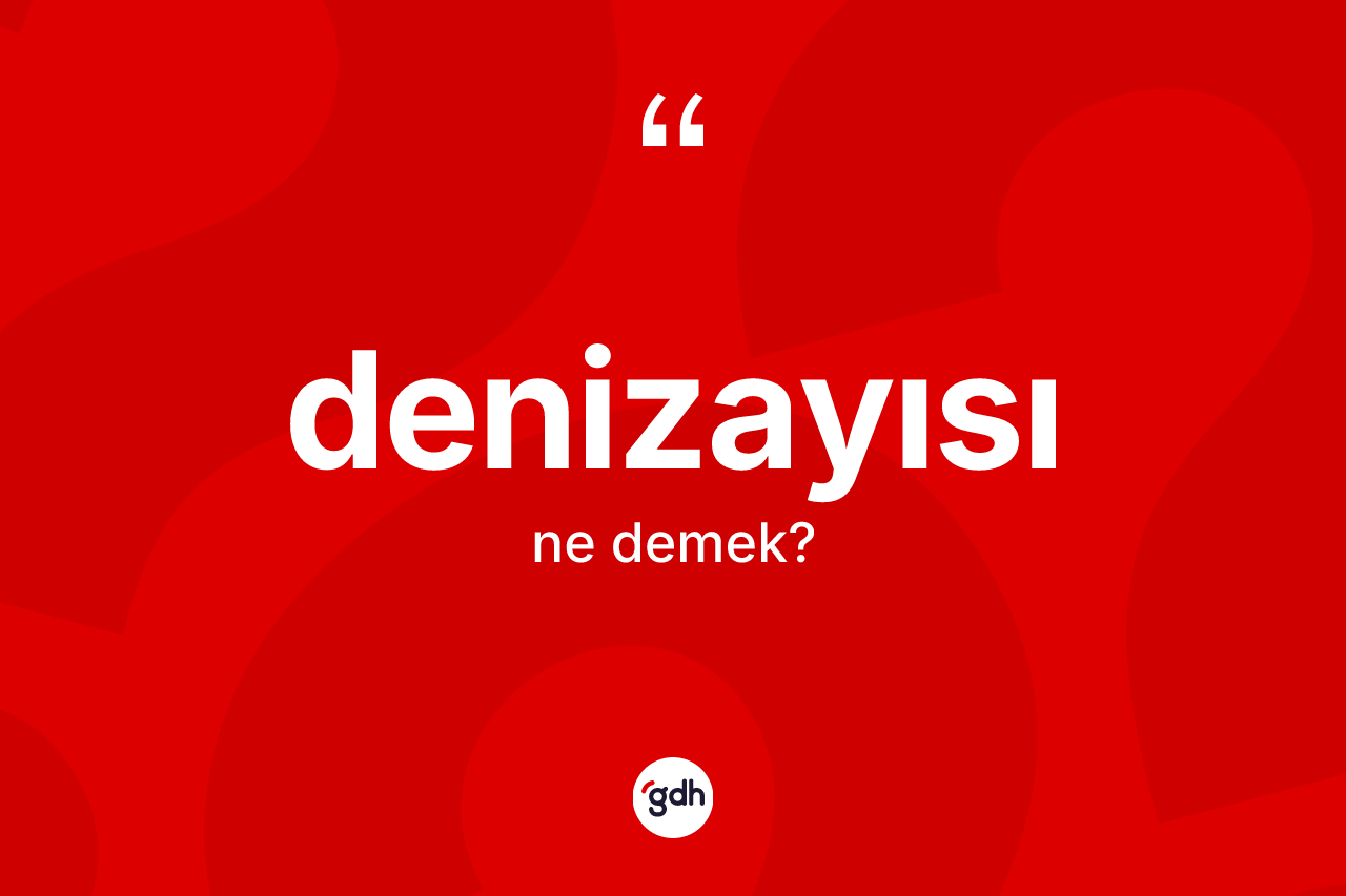 Denizayısı kelimesinin sözlükteki tanımı nedir? Denizayısı kelimesinin TDK'ya göre açıklaması nedir?