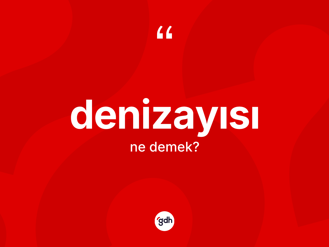 Denizayısı kelimesinin sözlükteki tanımı nedir? Denizayısı kelimesinin TDK'ya göre açıklaması nedir?